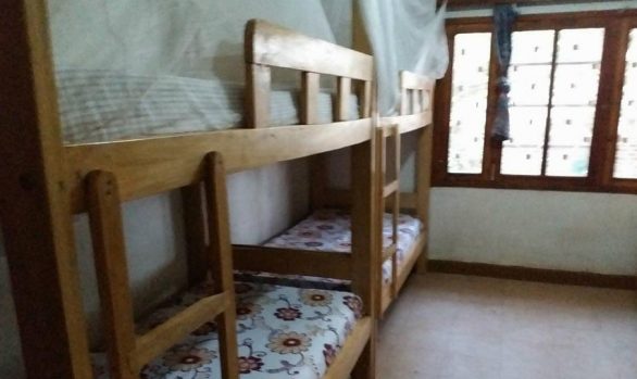 Accommodation Hostel bed